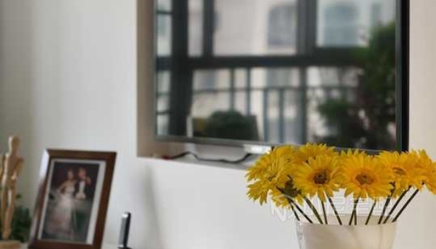 110㎡/两室两厅两卫/田园